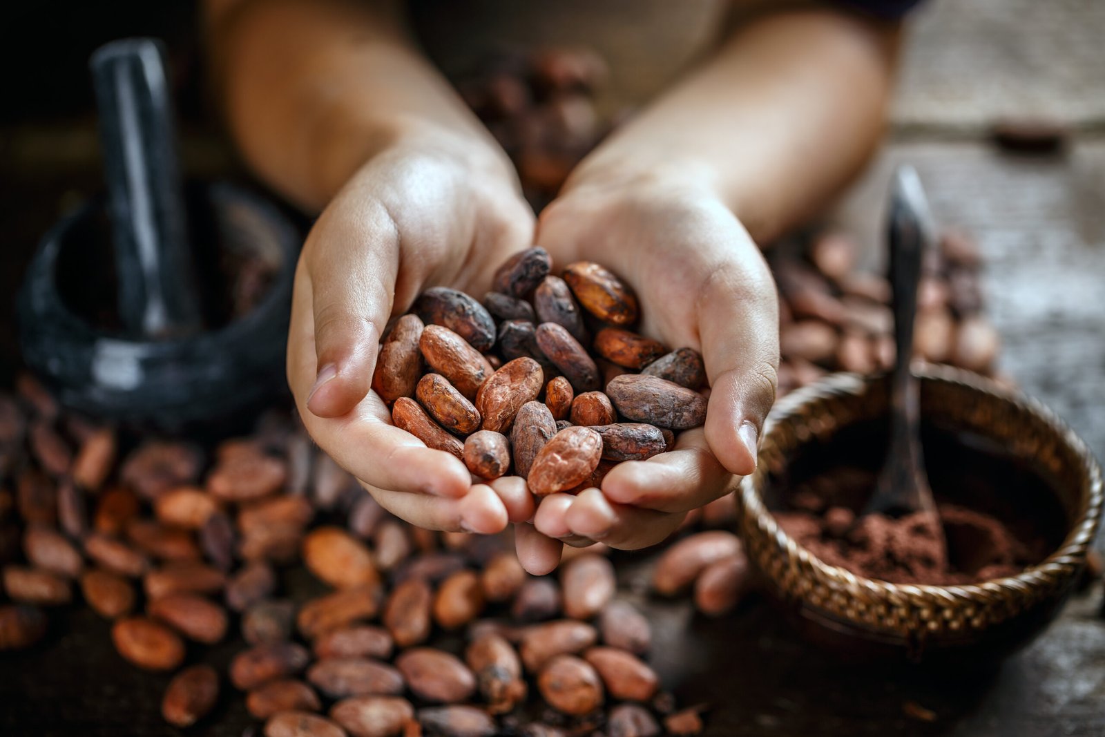 Cacao Hands Scaled