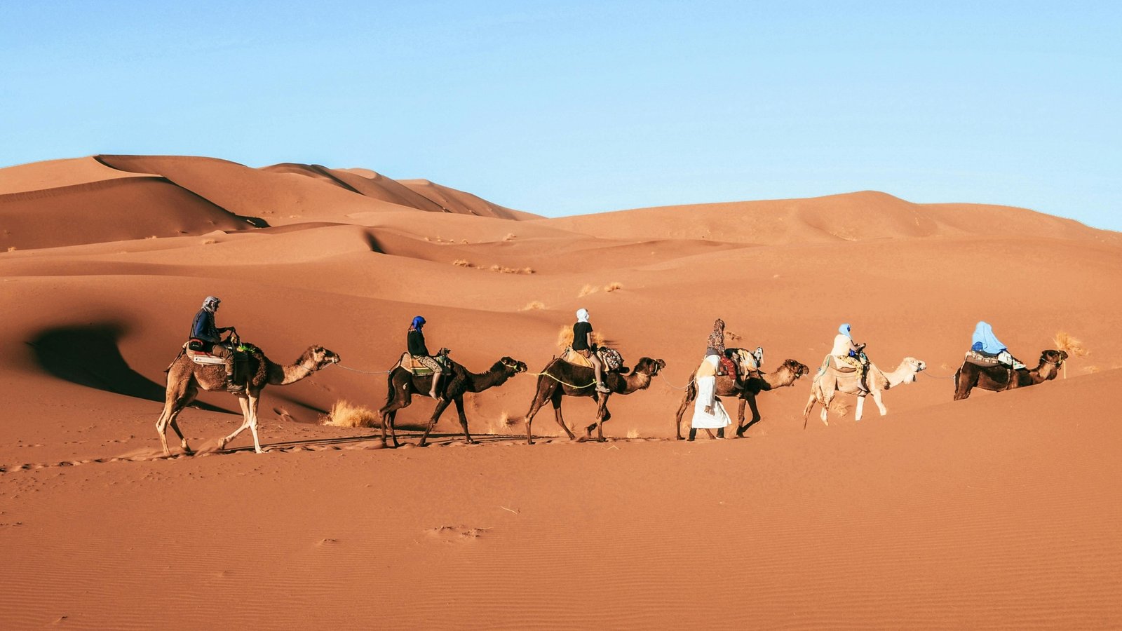 Transformative Sound Healing Ceremonies Retreats Morocco