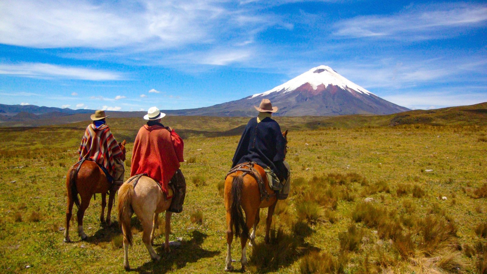 transformative sound healing ceremonies retreats ecuador